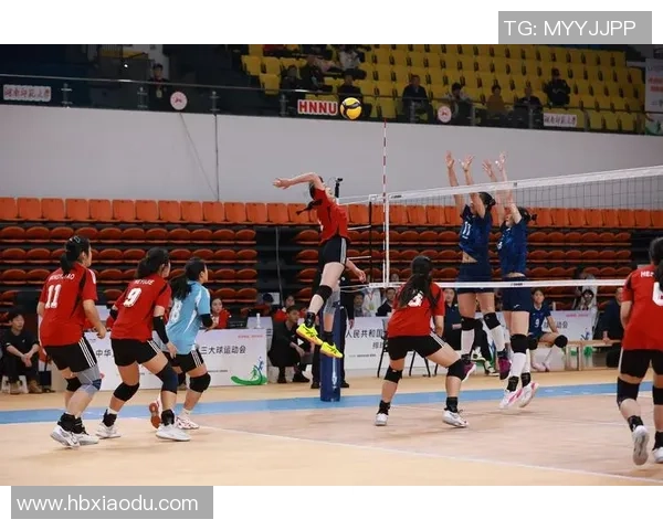 重庆排球队在精英赛中的力量展现与战术分析 重庆排球队在精英赛中的力量展现与战术分析