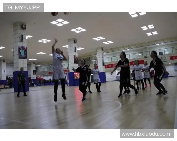 专访杨芳：探寻篮球界的成功秘诀与背后故事